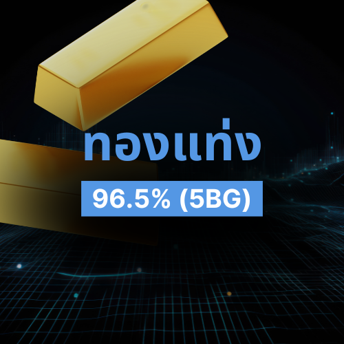 รูปภาพสินค้า